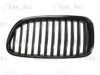 BMW 51712165528 Radiator Grille